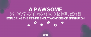 A Pawsome Stay at B+B Edinburgh