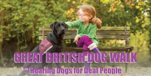 Dogs for the deaf