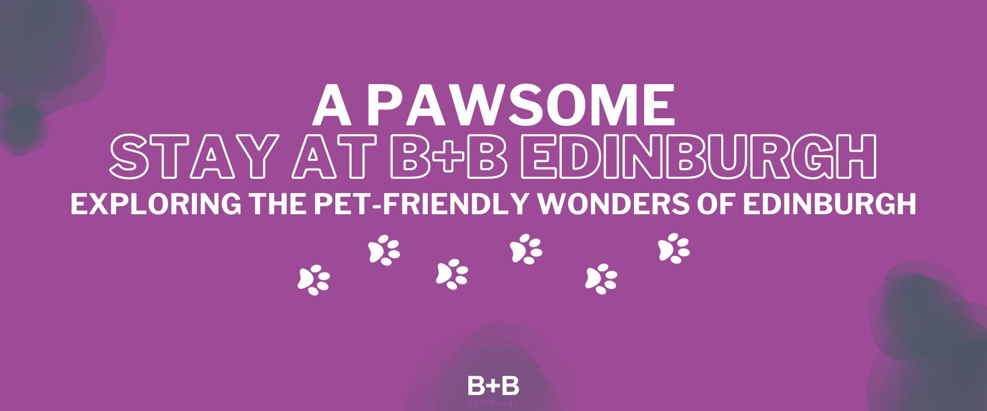 A Pawsome Stay at B+B Edinburgh